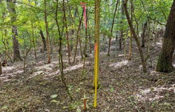 Tract 5 Lyle Drive, Mountain Home, AR 72653