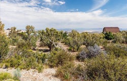 52 Birch Spring Road, Cold Creek, NV 89124