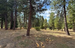 566 Red Sky, Portola, CA 96122