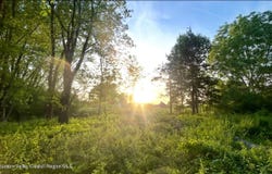 45 Randy Road, Athens, NY 12015
