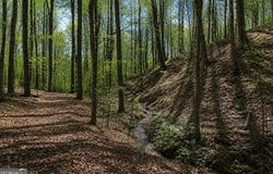 Davis Road, Eastanollee, GA 30538