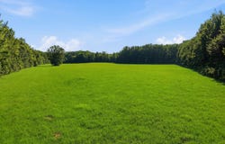 2208 Bend Road, Coldwater, MS 38618