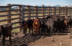 1950 Silver Lake Road, Chiloquin, OR 97624