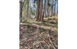 3872 MONROE St, Eugene, OR 97405