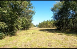 CR 3302, DeKalb, TX 75559