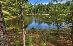 143 Pre Eddy Road, Lucedale, MS 39452