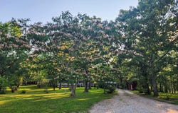 2066 State Highway Jj Revised !!, Stoutland, MO 65567