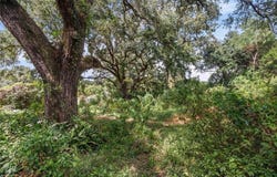 1247 Arcturus Lane, Mobile, AL 36693