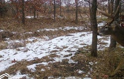 200th Street, Kellerton, IA 50133