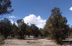 Last Frontier Subdivision, Datil, NM 87821