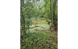 Bailey Rd, Groveland, NY 14462