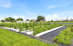 4020 FM 515, Emory, TX 75440
