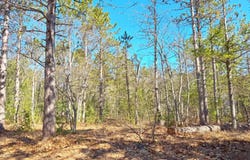 32056 W Pal Rd, Paradise, MI 49768