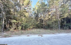 291 Sawdust Trail, Waycross, GA 31503