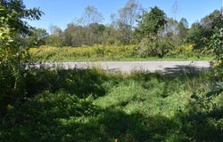 Round Top Road, South Dayton, NY 14062