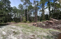 334 REDWOOD Boulevard, GEORGETOWN, FL 32139