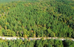 US Route 27, Sunbright, TN 37872