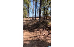 688 COUNTY ROAD 230, CLANTON, AL 35171