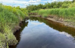 OFF CTH M, Merrill, WI 54452
