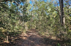 NE 175TH Avenue, WILLISTON, FL 32696