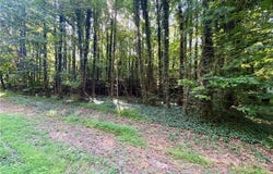 8101 Deverow Court, Lewisville, NC 27023