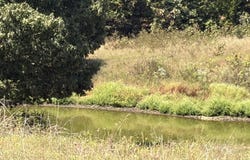 320 Stateline Rd, Mammoth Spring, AR 72554