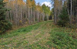 Deer River Line, Littlefork, MN 56653