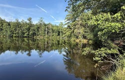 469 Brodie Road, Leesville, SC 29070