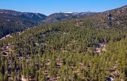 105 Fox Creek Rd, Glen Haven, CO 80532