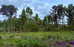 000 Highway 397 South, Preston, MS 39354