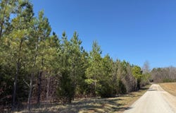 3A MAPLE BRIDGE RD, DILLWYN, VA 23936