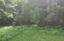 9 Private Road, WI-139, Argonne, WI 54511