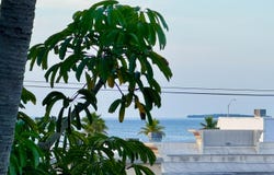 3312 Northside Drive, Key West, FL 33040