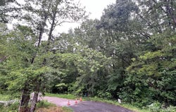 6 Wilderness Lane, Lancaster, SC 29720