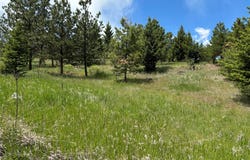 16 Mule Trail Road, Clancy, MT 59634