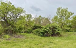 Kent Cornwall Road, Kent, CT 06757