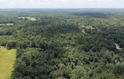Tract 3 CR 4320, DeKalb, TX 75559