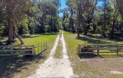 343 NE 743rd St, Old Town, FL 32680