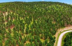 TBD Elk View Loop, Sturgis, SD 57785
