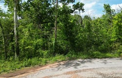 Anchinleck Lane lot: 9, Bella Vista, AR 72715