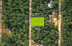NORMAN Avenue, Interlachen, FL 32148