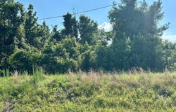 N POINTE DRIVE, Downsville, LA 71234