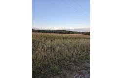 Walking Trail Drive, Greentop, MO 63546