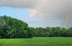 Road, Hume, MO 64752