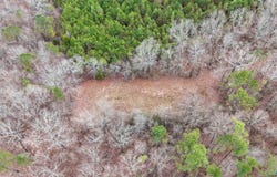2.3 Acres County Highway 29, Hamilton, AL 35570