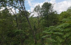 Shay Ridge Road, Wingett Run, OH 45789