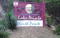 LAKE POINTE Dr, Arley, AL 35541