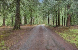 41180 SE KUBITZ Rd, Sandy, OR 97055
