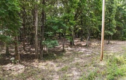 Deer Run Street, Shell Knob, MO 65747