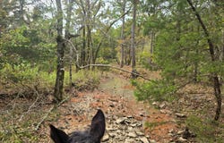 Watertower Rd, Talihina, OK 74571